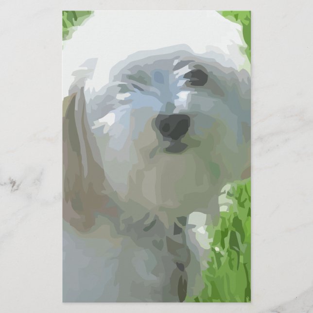 Havanese (Front)