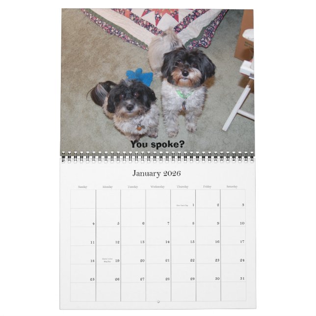Havanese 2009 calendar (Jan 2026)