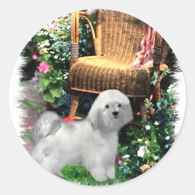 Havanese Art Gifts Classic Round Sticker (Front)