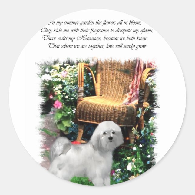 Havanese Art Gifts Classic Round Sticker (Front)