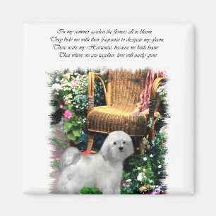 Havanese Art Gifts Magnet