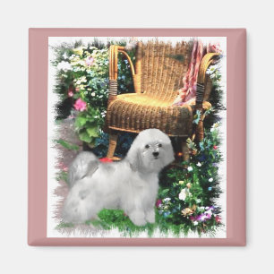 Havanese Art Gifts Magnet