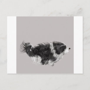 Havanese B&W Postcard
