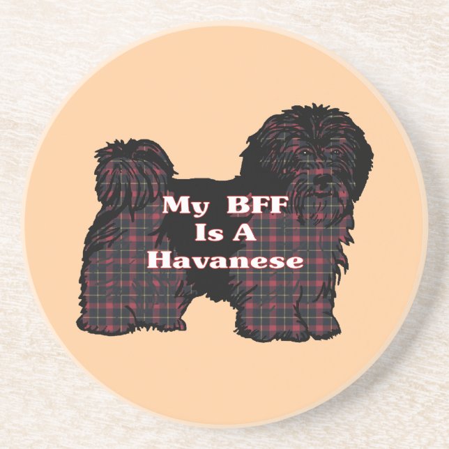 HAVANESE BFF COASTER (Front)