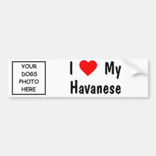 Havanese Bumper Sticker