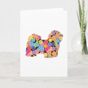 Havanese Card