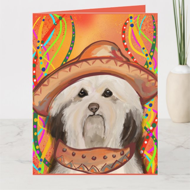 HAVANESE       CARD (Front)
