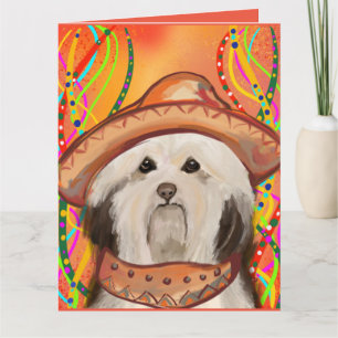 HAVANESE       CARD