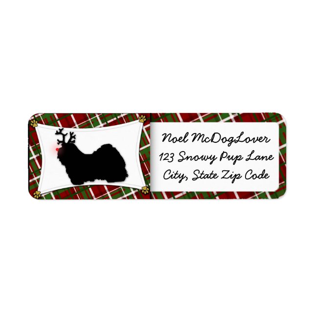 Havanese Christmas (Front)