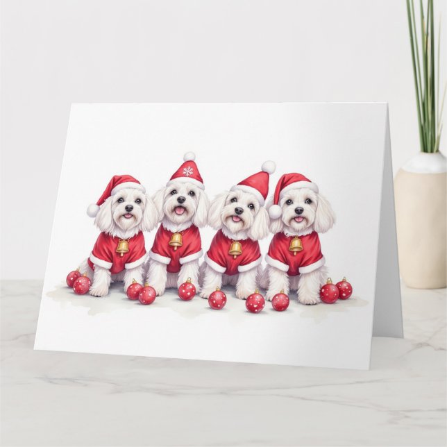 Havanese Christmas Dress Santa Hat Card (Front)
