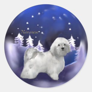 Havanese Christmas Gifts Classic Round Sticker