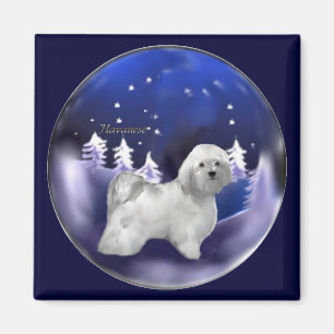 Havanese Christmas Gifts Magnet