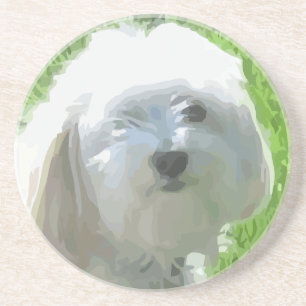 Havanese Coaster