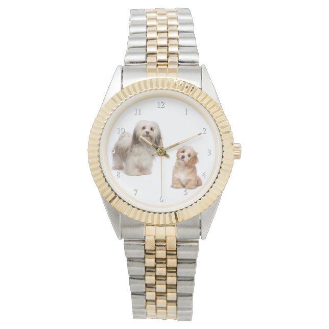 Havanese Dog and Pup Watch (Front)