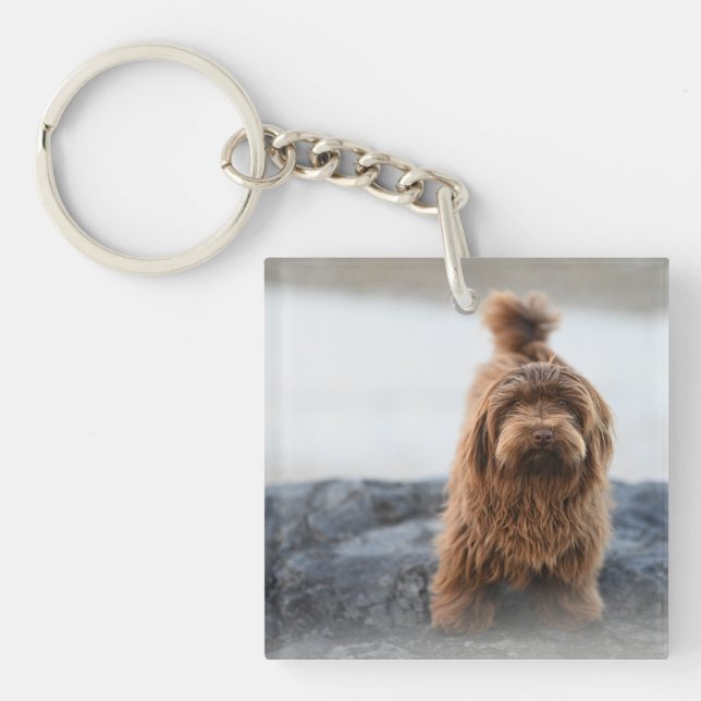 Havanese dog, Animal, Canine Keychain (Front)