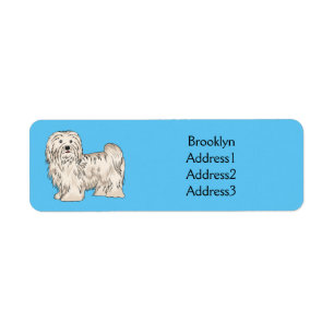 Havanese dog cartoon illustration