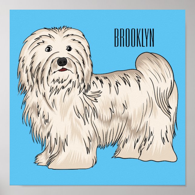 Havanese dog cartoon illustration poster (Front)