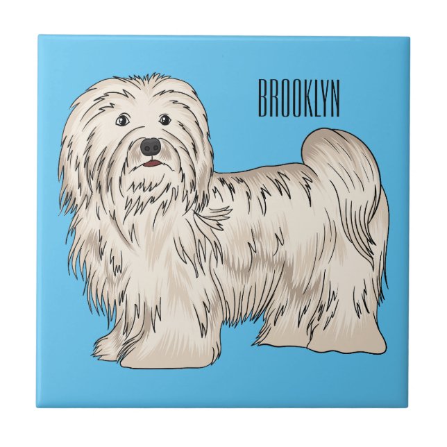 Havanese dog cartoon illustration tile (Front)