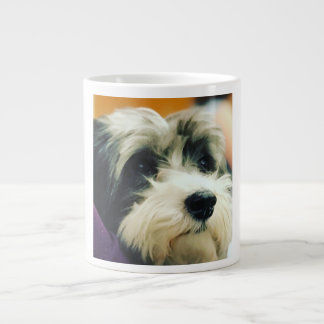 Havanese Dog Coffee Mug