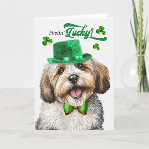 Havanese Dog Feelin' Lucky St Patrick's Day Holiday Card