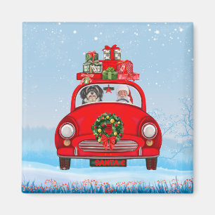 Havanese Dog In Car With Santa Claus Magnet