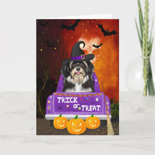 Havanese Dog in Halloween Truck Card