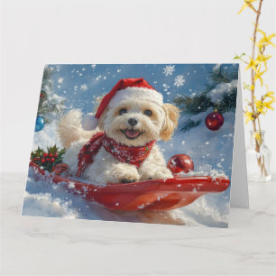 Havanese Dog in Sledge Let it Snow Christmas Card
