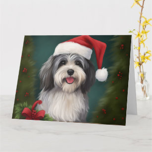 Havanese Dog in Snow Christmas Card