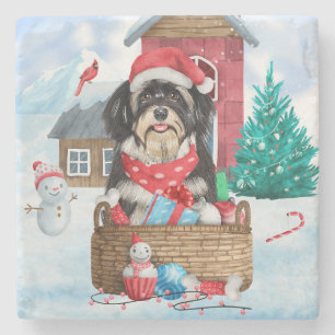 Havanese Dog In snow Christmas Dog House  Stone Coaster