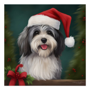 Havanese Dog in Snow Christmas Poster