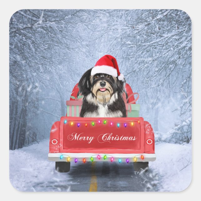 Havanese Dog in Snow sitting in Christmas Truck  Square Sticker (Front)
