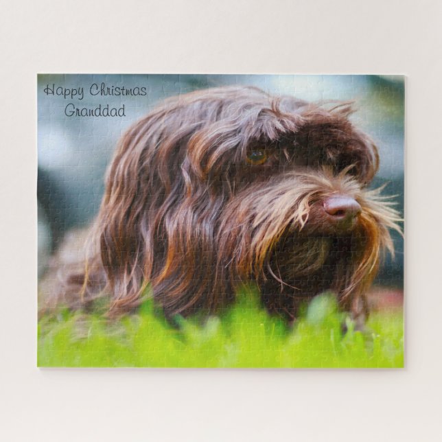 Havanese Dog. Jigsaw Puzzle (Horizontal)