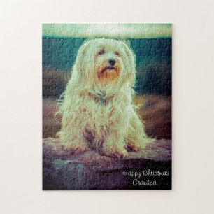 Havanese Dog. Jigsaw Puzzle