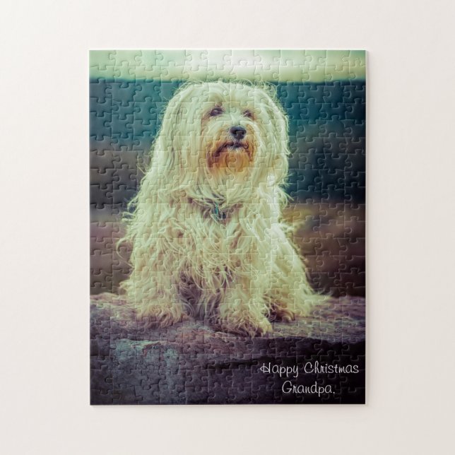 Havanese Dog. Jigsaw Puzzle (Vertical)
