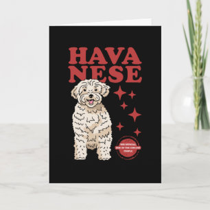 Havanese Dog Of The Coolest   Havaneses Card