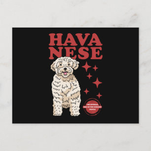 Havanese Dog Of The Coolest   Havaneses Postcard