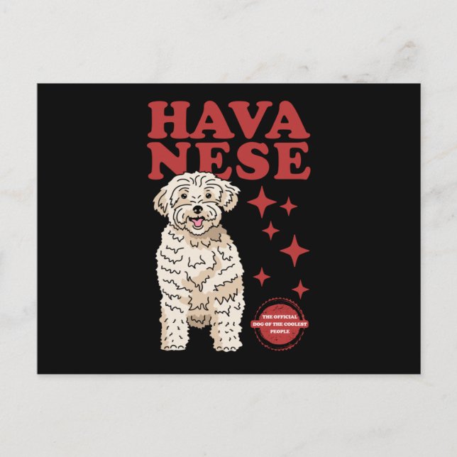 Havanese Dog Of The Coolest | Havaneses Postcard (Front)