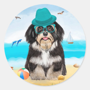 Havanese Dog on Beach Classic Round Sticker