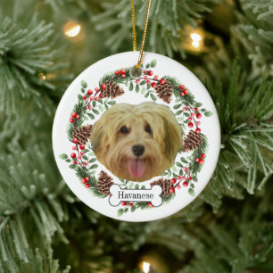 havanese dog Personalized Pet Ornament