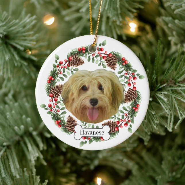 havanese dog Personalized Pet Ornament (Tree)