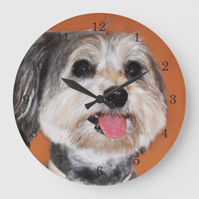 Havanese Dog Portrait Large Clock (Front)