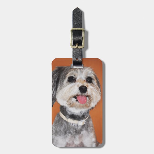 Havanese Dog Portrait Luggage Tag (Front Vertical)