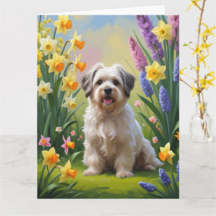 Havanese Dog Spring Flowers Painting  Card