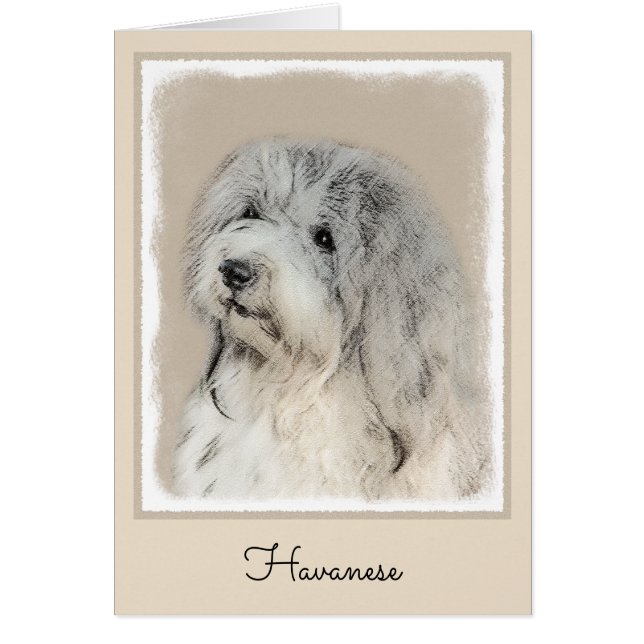 Havanese (Gold Sable) Painting - Original Dog Art (Front)