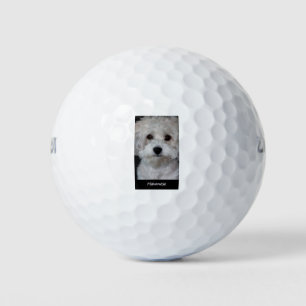 Havanese Golf Balls