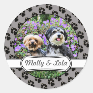 Havanese - Lola & Yorkie - Molly Classic Round Sticker