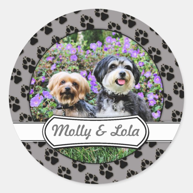 Havanese - Lola & Yorkie - Molly Classic Round Sticker (Front)