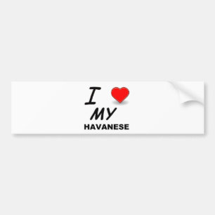 havanese love bumper sticker
