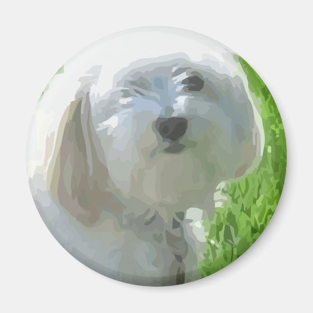 Havanese Magnet (Front)