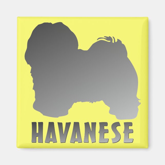 Havanese Magnet (Front)